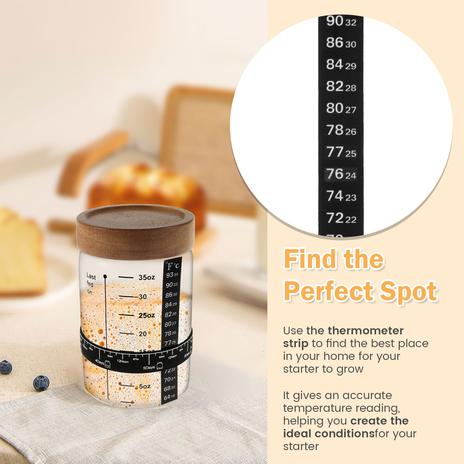 Sourdough ชุดโถสำหรับเริ่มใช้ง - Food Storage Glass Containers บทวิจารณ์และราคา